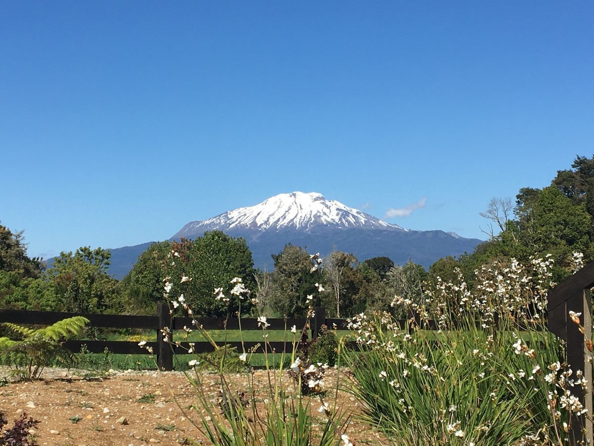 Hermoso Condominio, praderas y bosques cercano a Puerto Varas