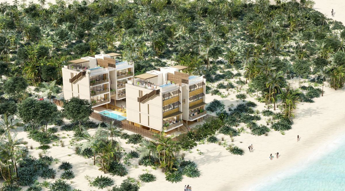 3 of 8: DESARROLLO EN HOLBOX