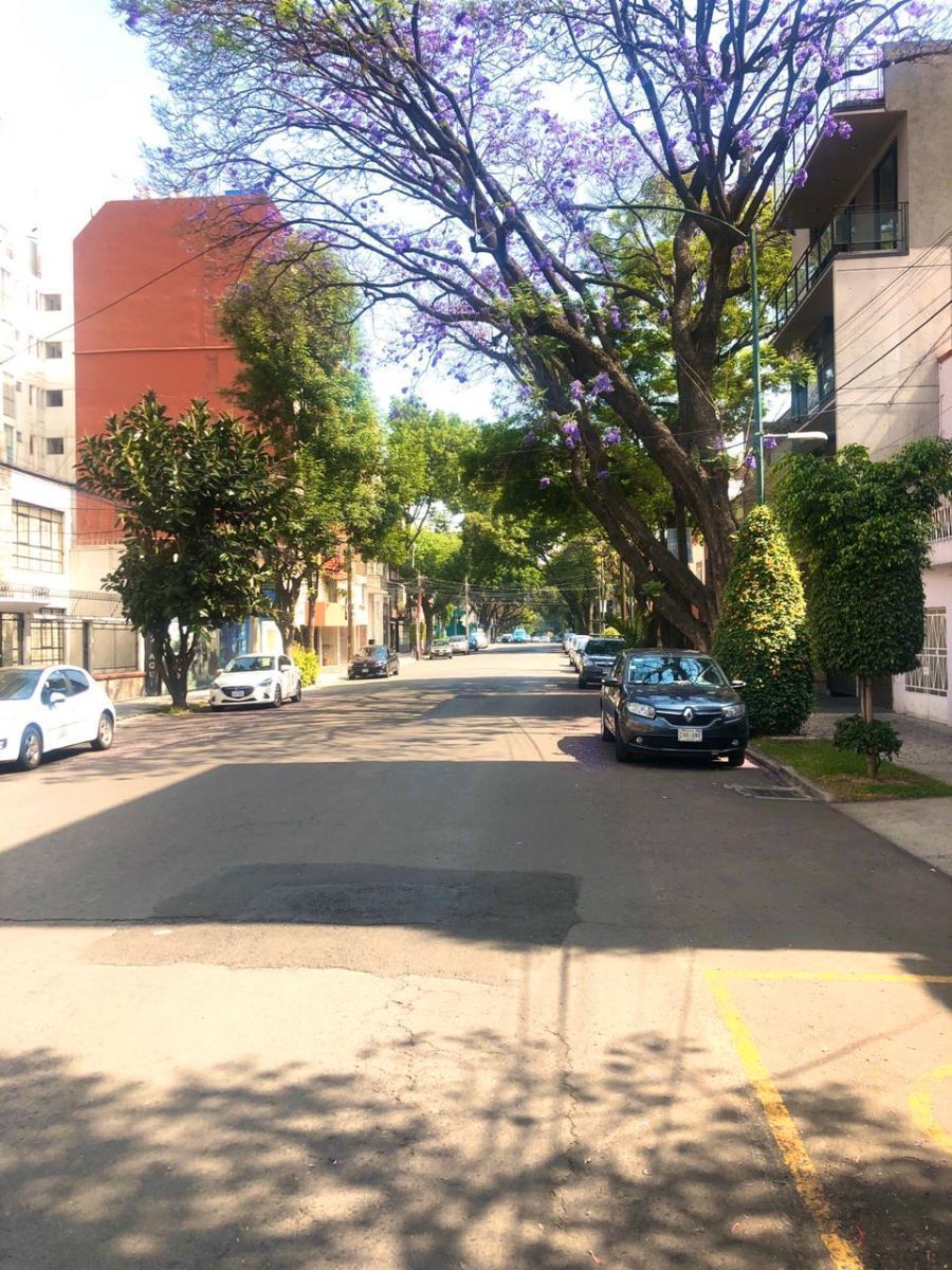 18 de 18: Amplia calle Nicolas San Juan