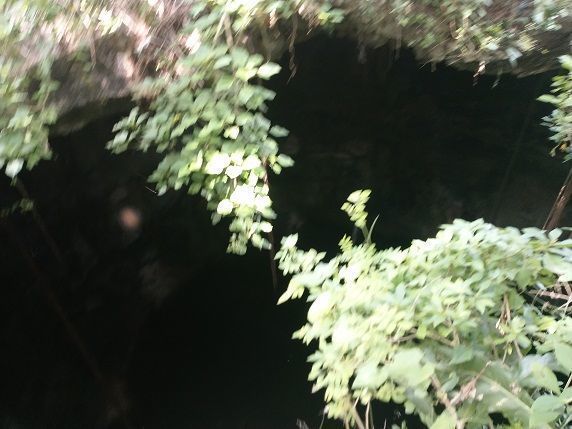 1 de 7: Cenote abierto, de 20 mts de diámetro aprox.