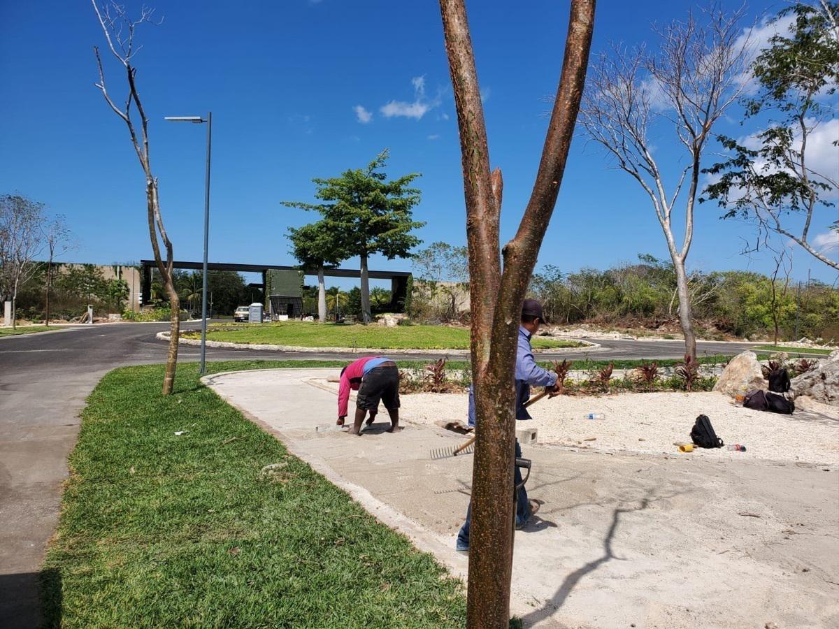 5 de 21