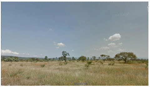 Terreno Parcela Venta en Ejido Santa Cruz Monte Hermoso, el Marques, Queretaro