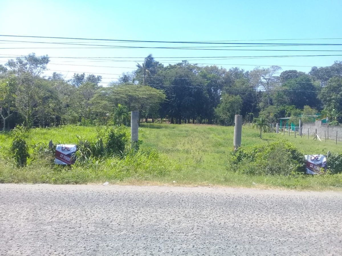 2 de 6
