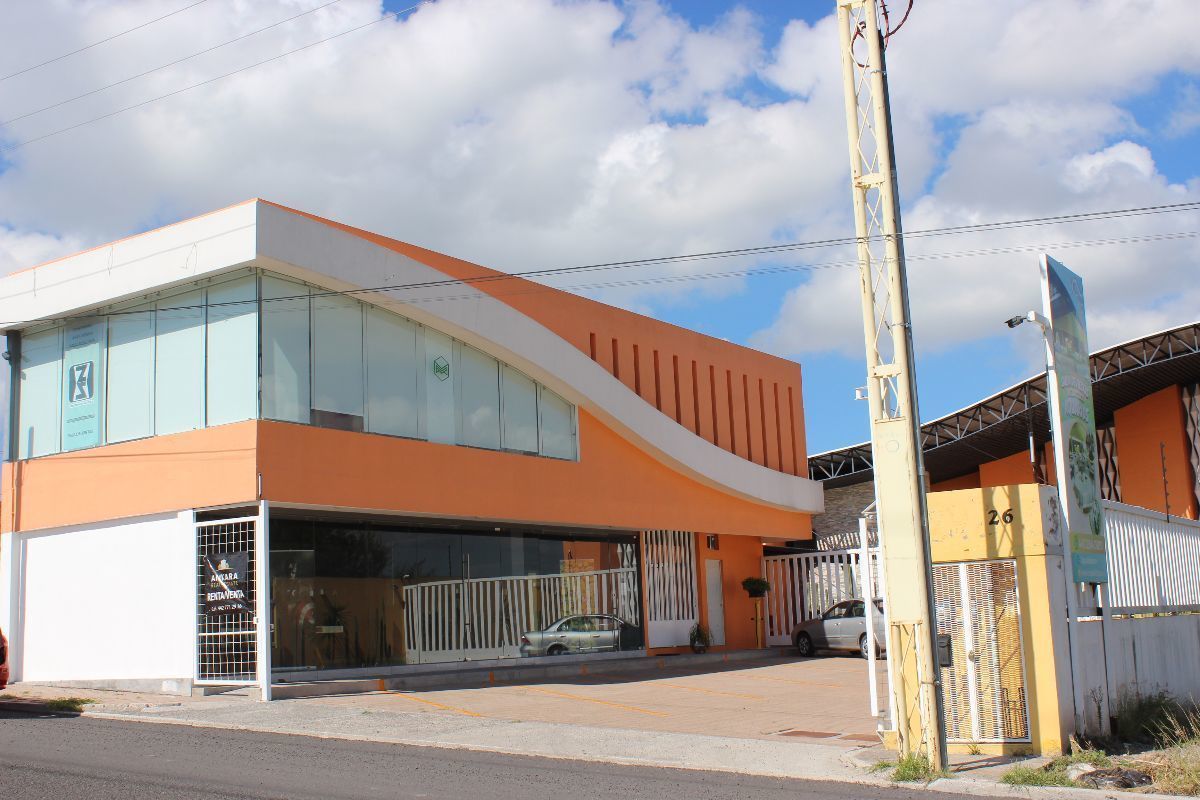 1 de 13