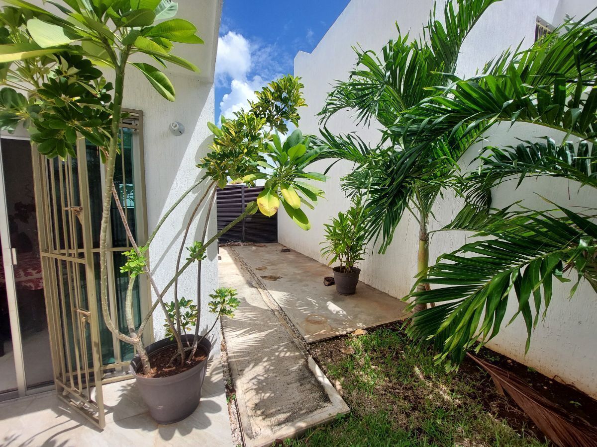 15 de 17: jardin