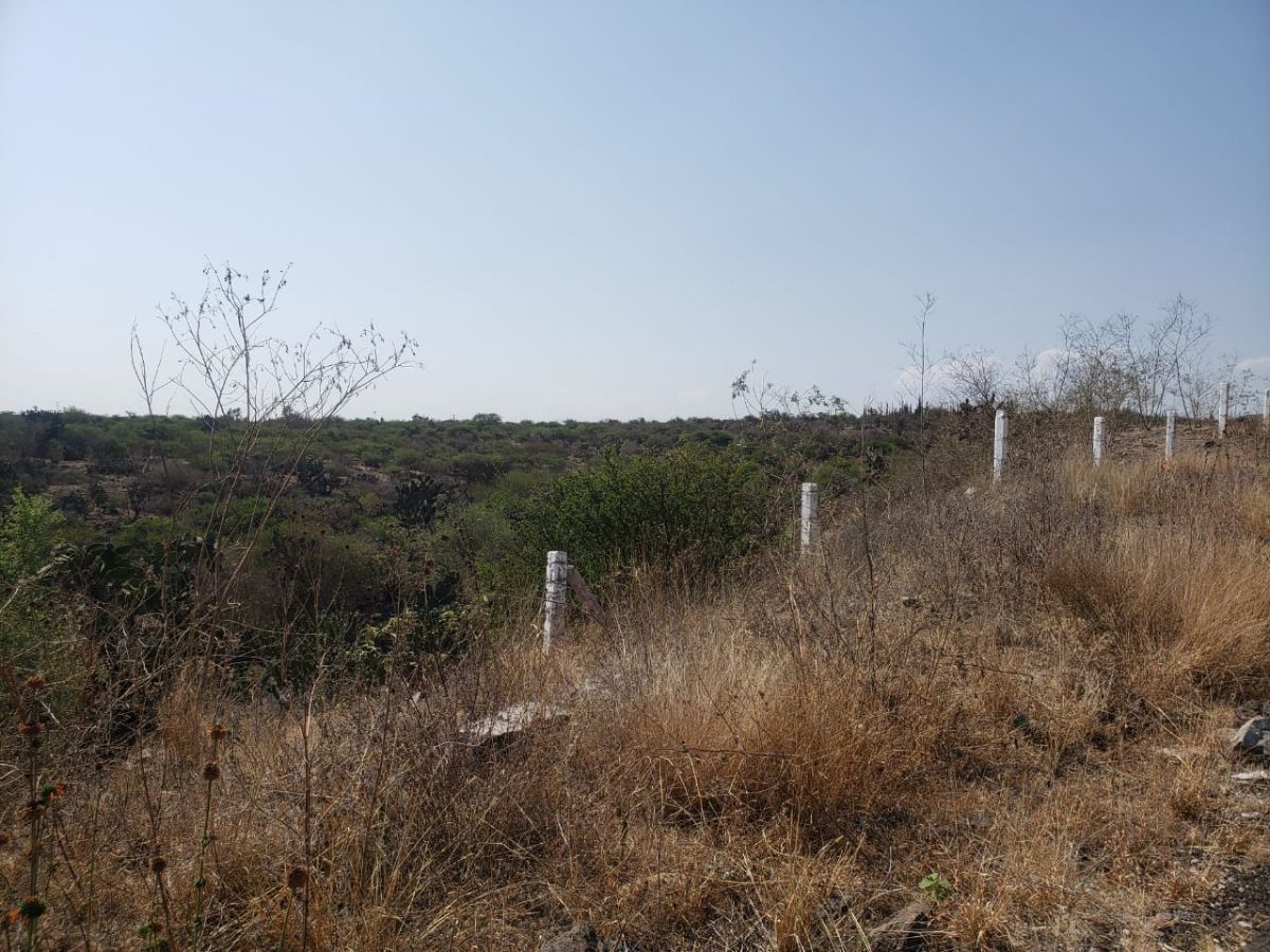 Rancho Zoquital en venta escriturado - foto 3