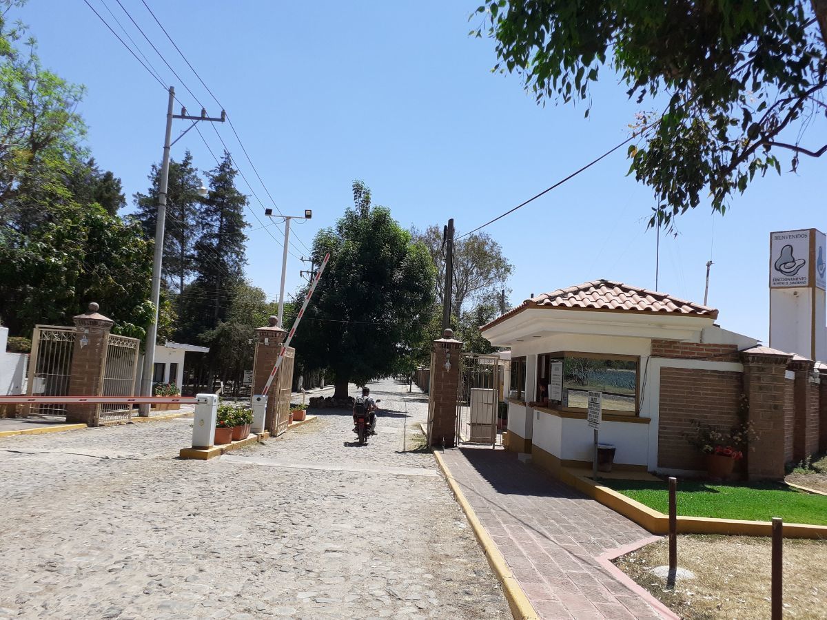 3 de 12