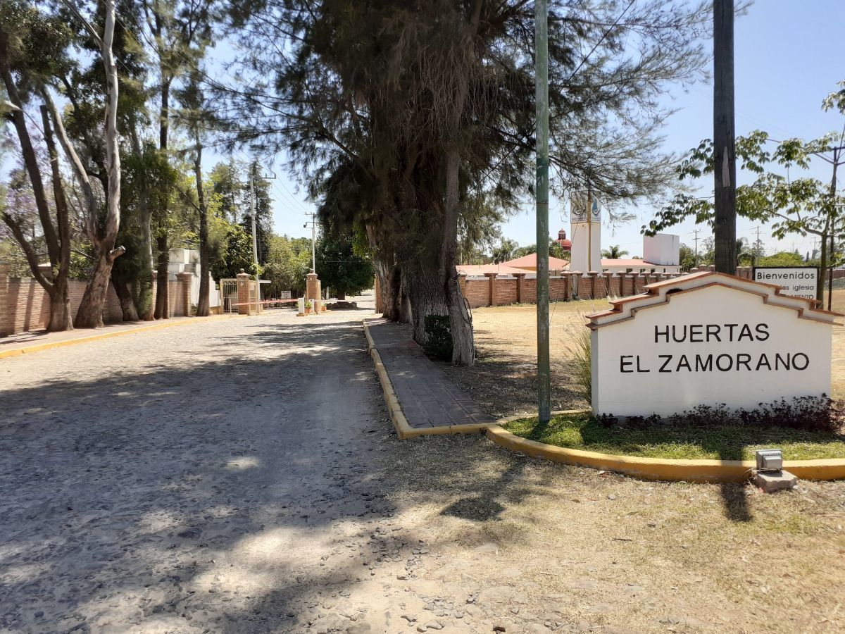 4 de 12