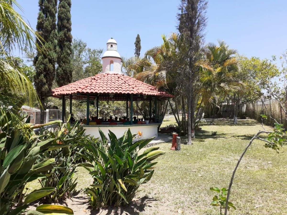 5 de 12