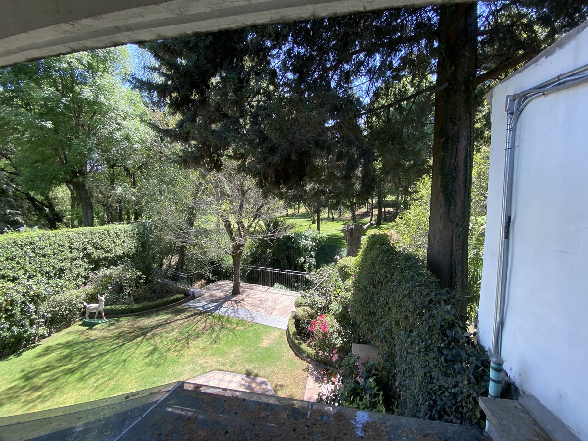 24 de 44
