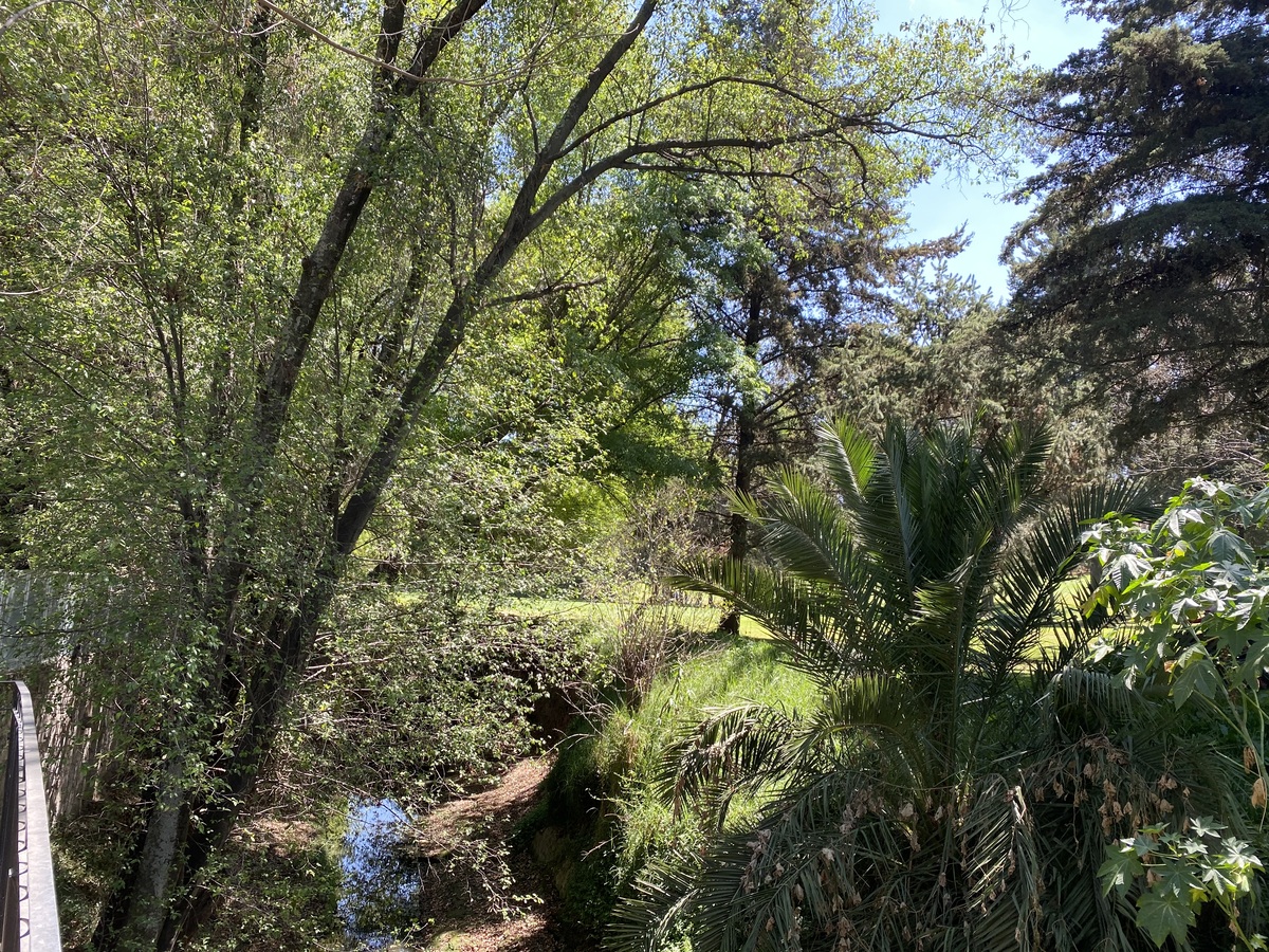 15 de 44