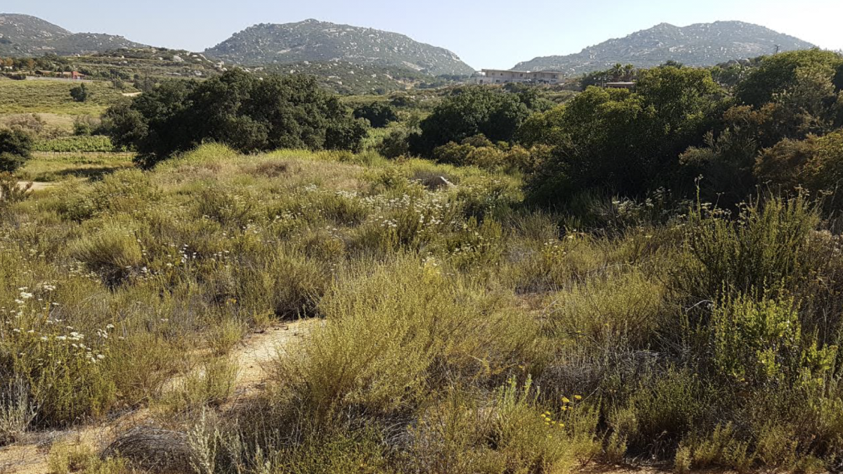 Terreno en venta