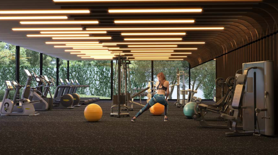 Gimnasio - Área de cardio y pesas