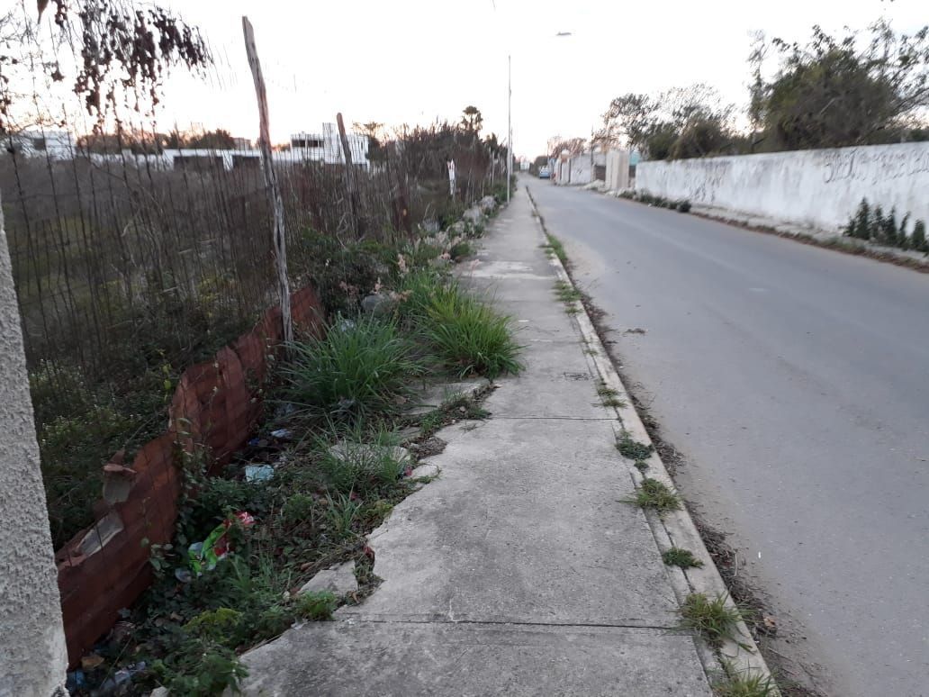 5 de 6: Calle de terrenos