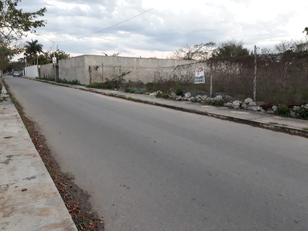 6 de 6: Calle de terrenos