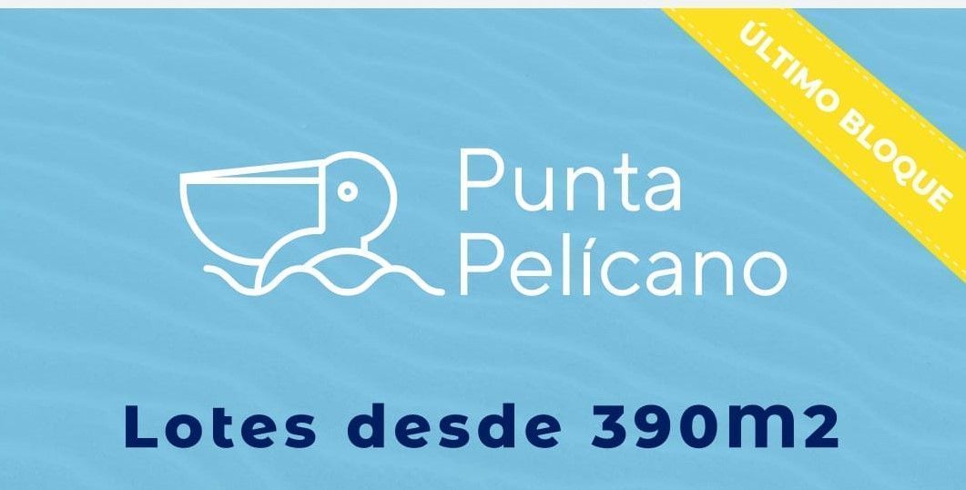 2 de 13
