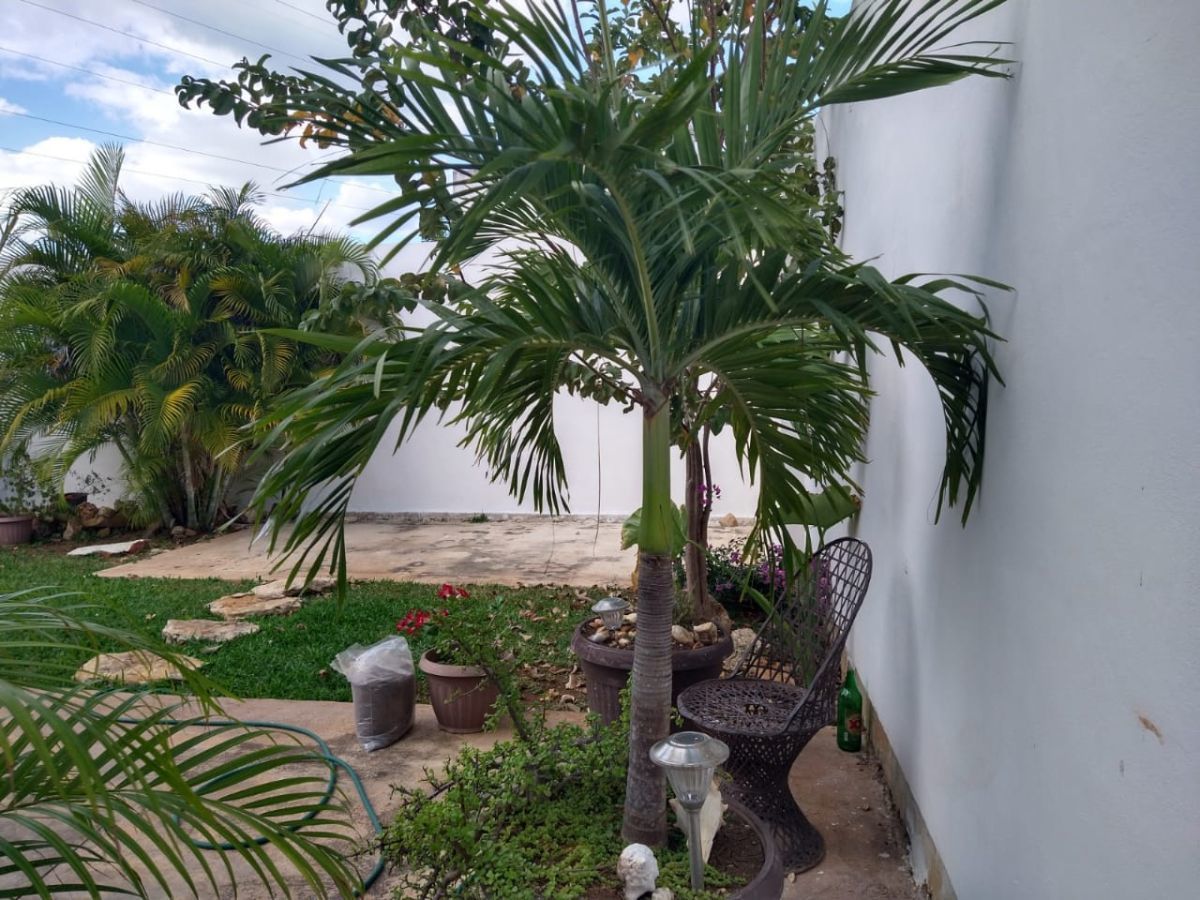 6 de 23