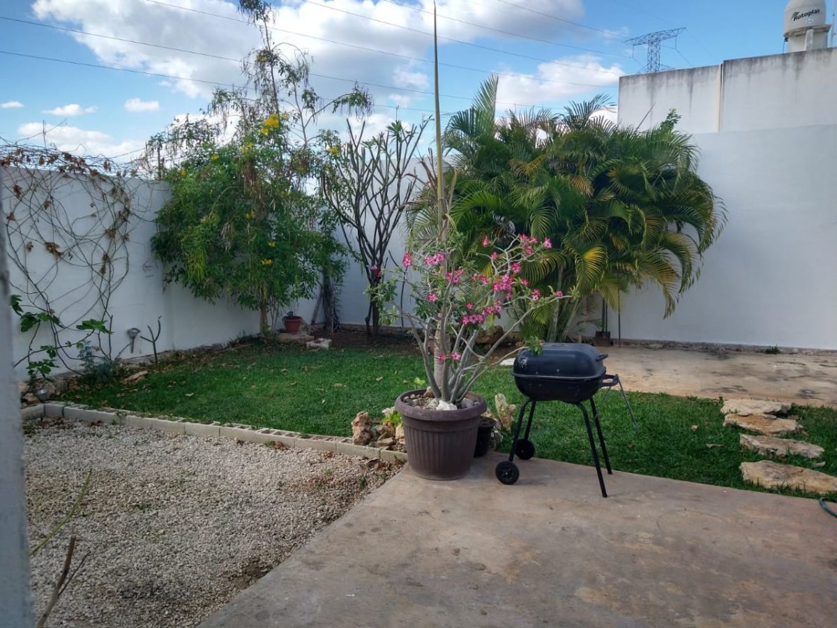 7 de 23