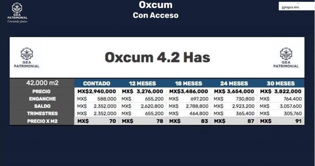 6 de 7