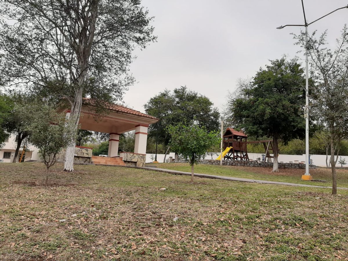 12 de 21