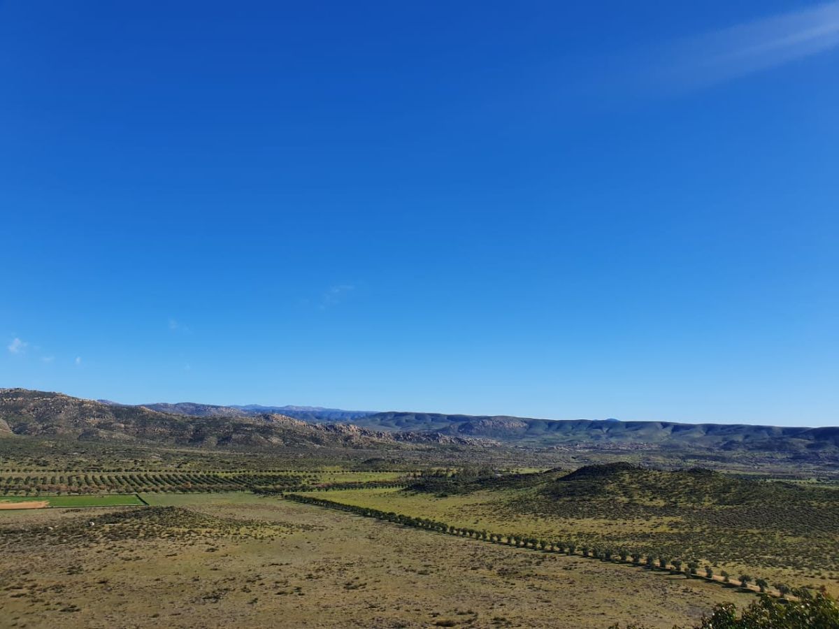 10 Hectáreas en Rancho Viejo, Tecate
