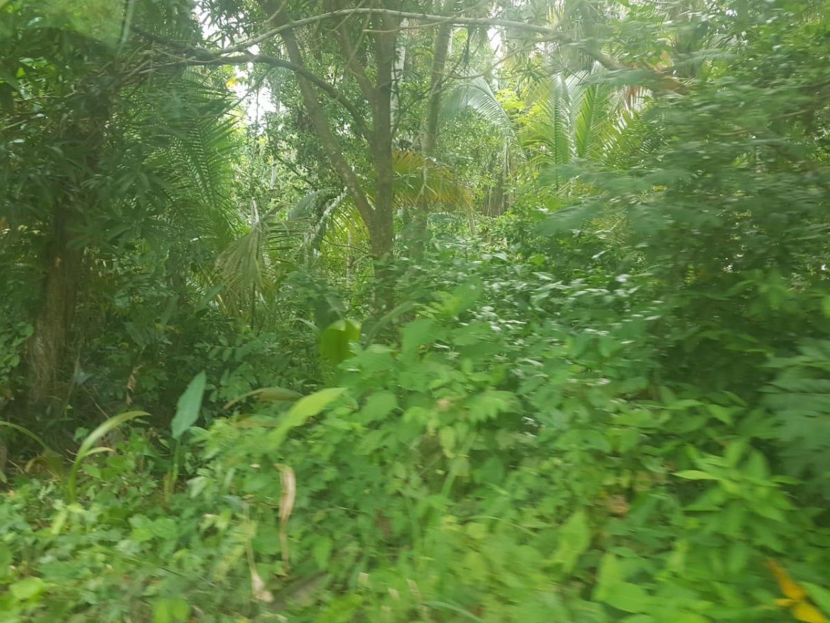 2 de 2