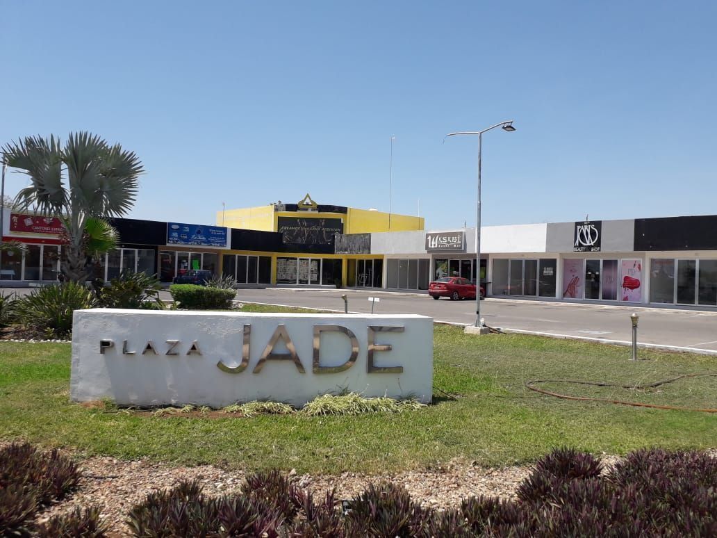 1 de 6