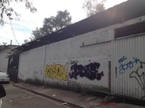 bodega