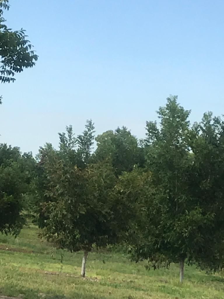4 de 6