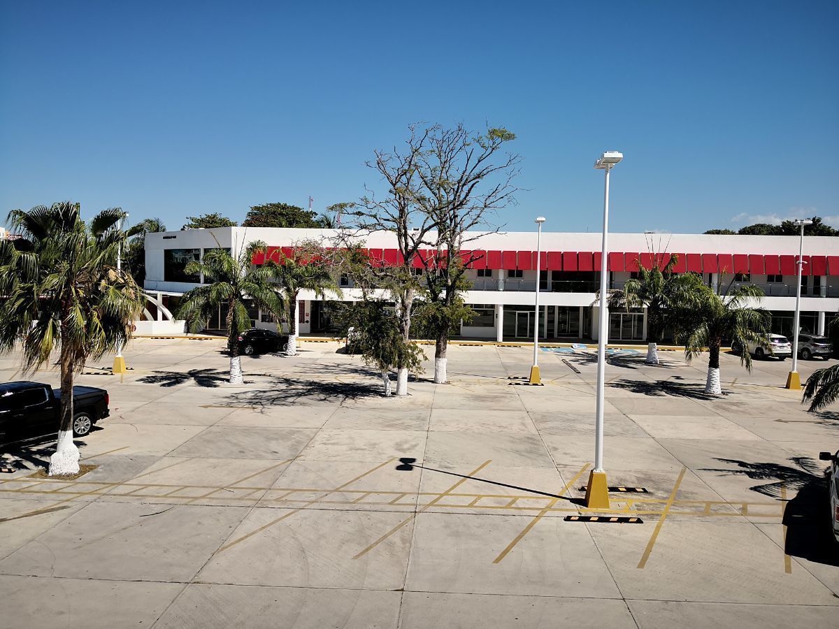 1 de 11