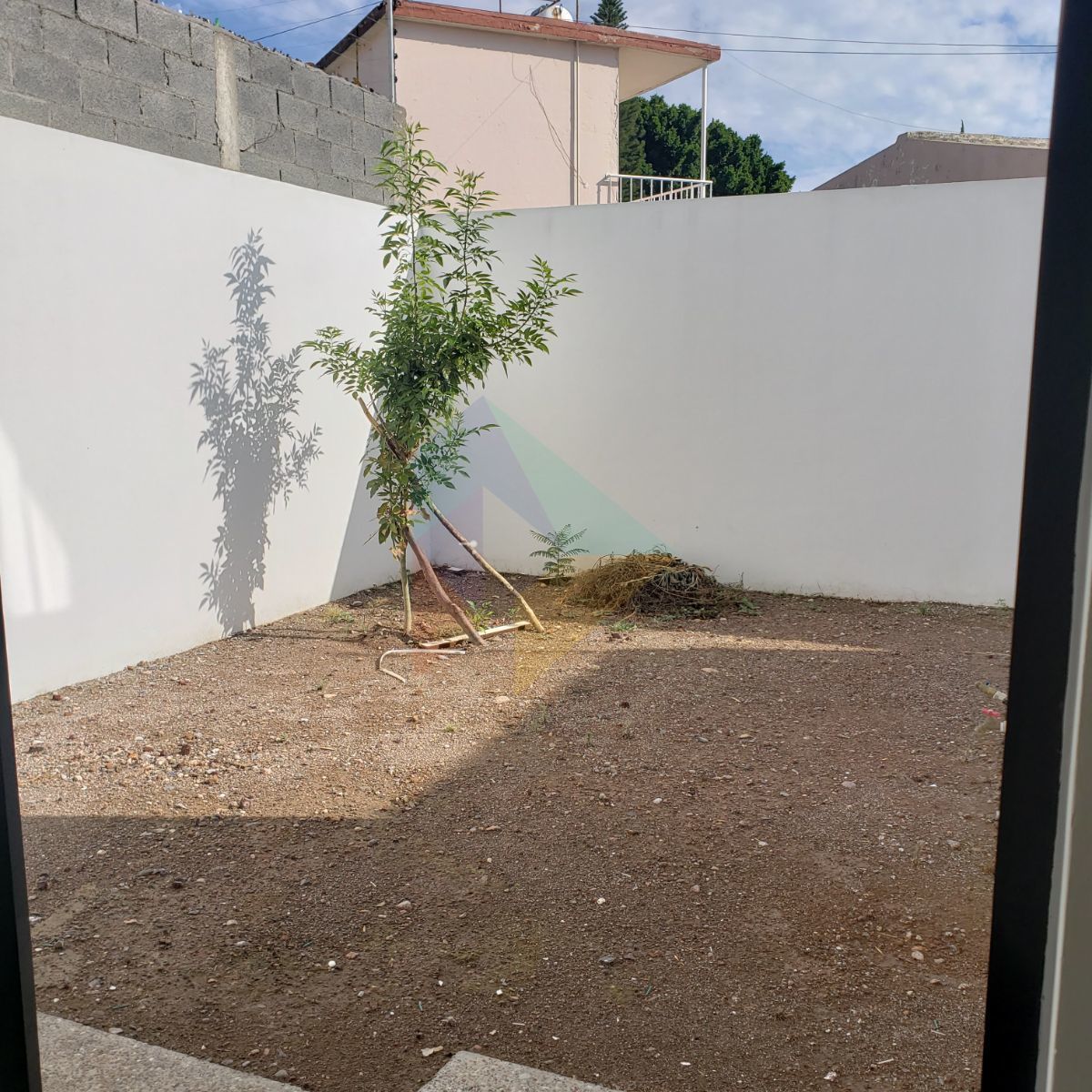 7 de 23