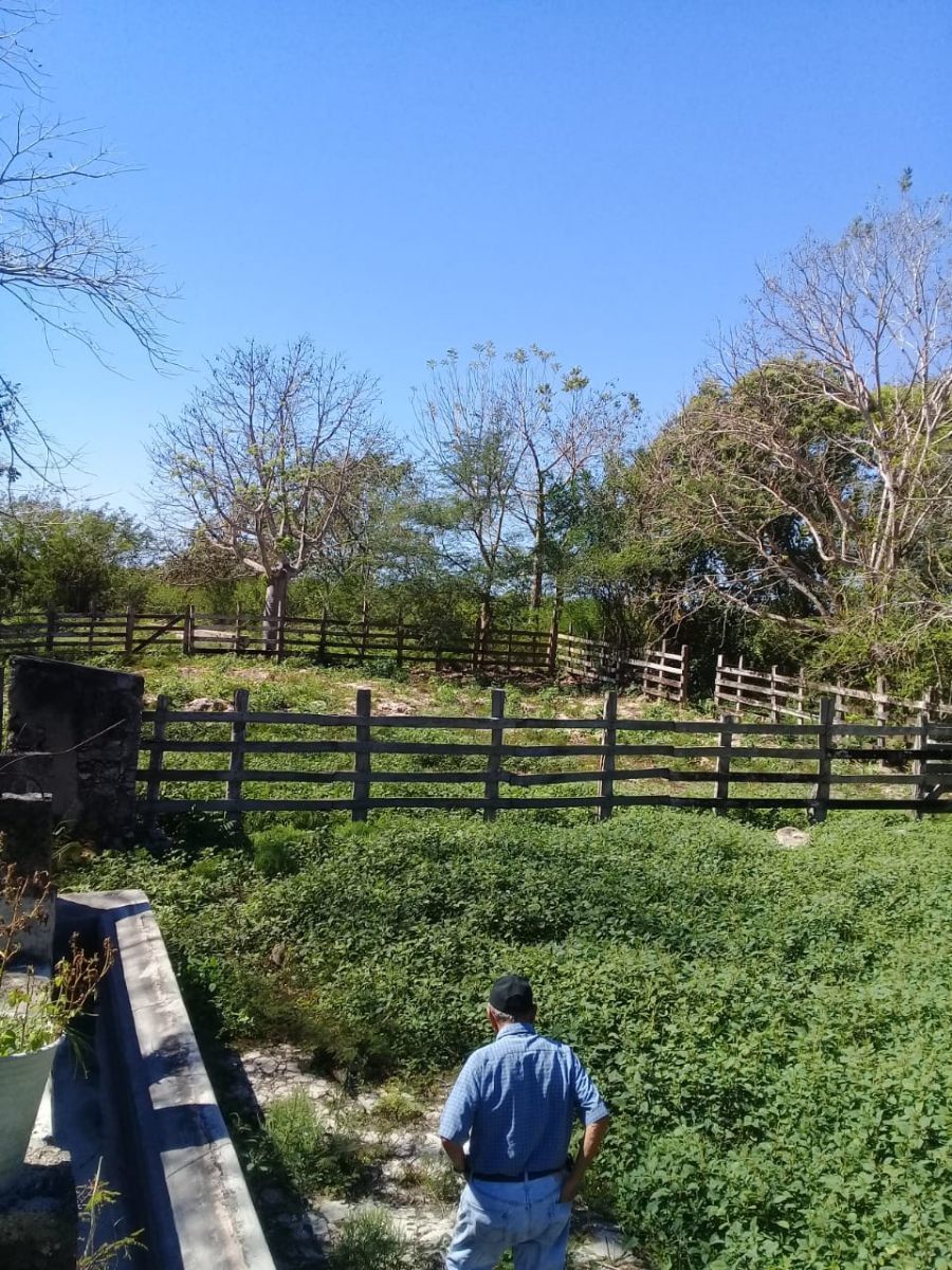 Corral de manejo de barengas.