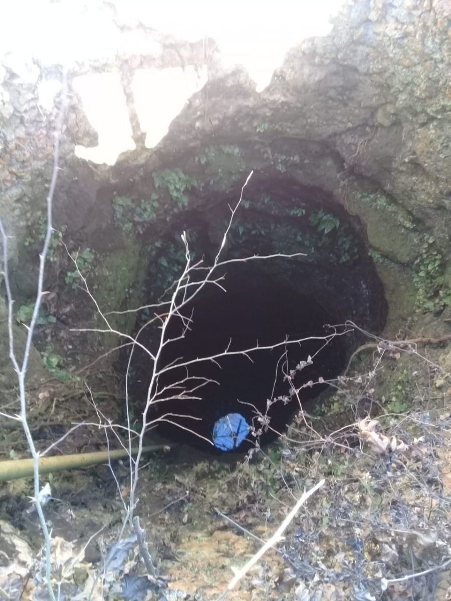 Noria en la posesión del Rancho