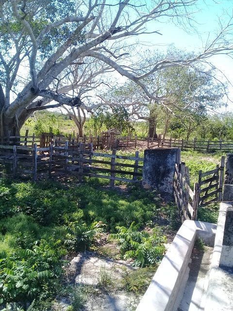 Instalaciones ganaderas en buen estado