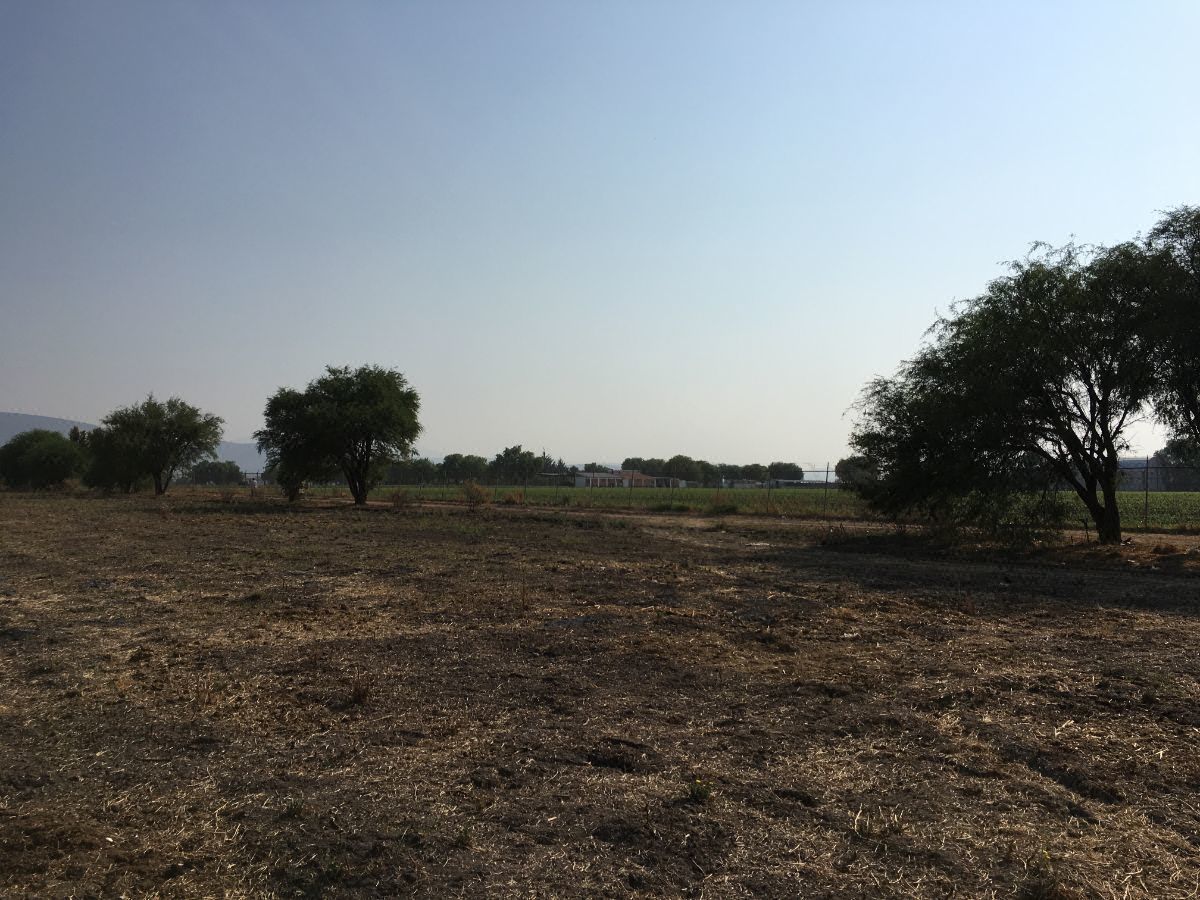 Venta Terreno Agricola Amazcala