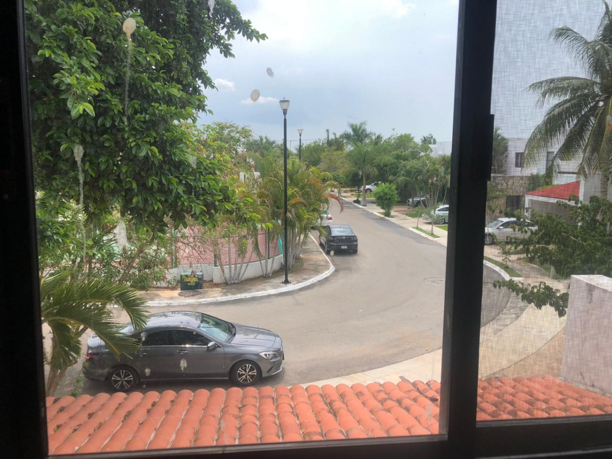 27 de 44