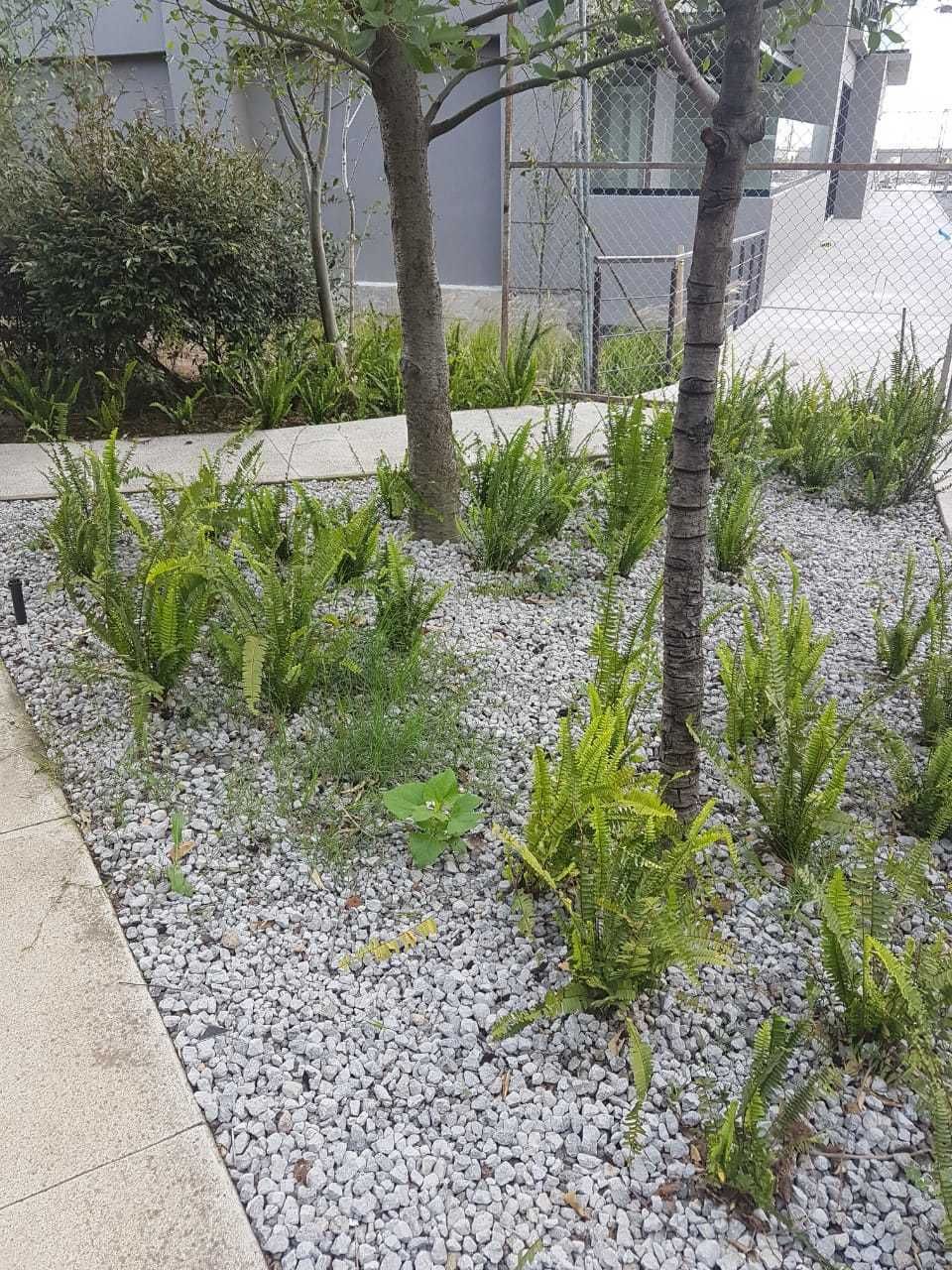 Departamento en Torres de Potrero, Álvaro Obregón, foto 26 de 28