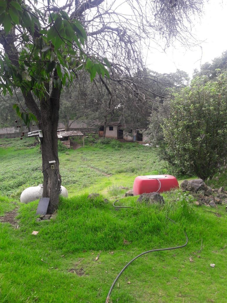 3 de 8