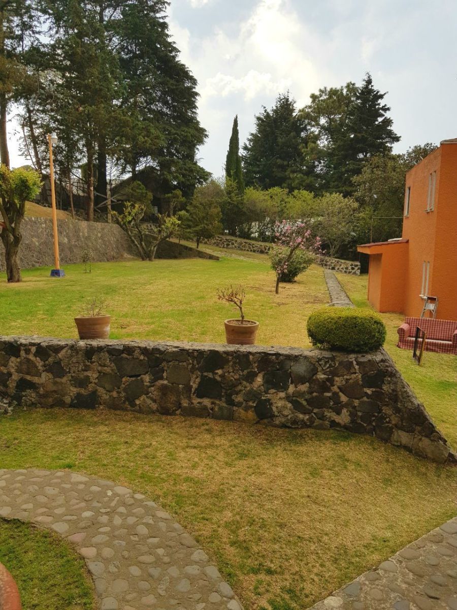 Imagen 6 de 10
