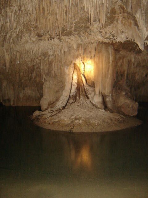 2 de 15: Figuras de la naturaleza dentro de las cuevas, mas de 140 m.