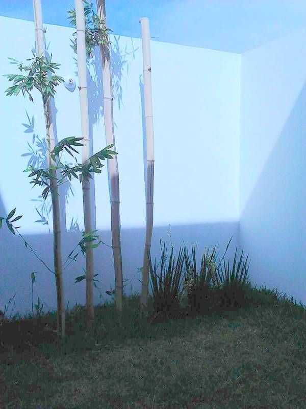 5 de 30