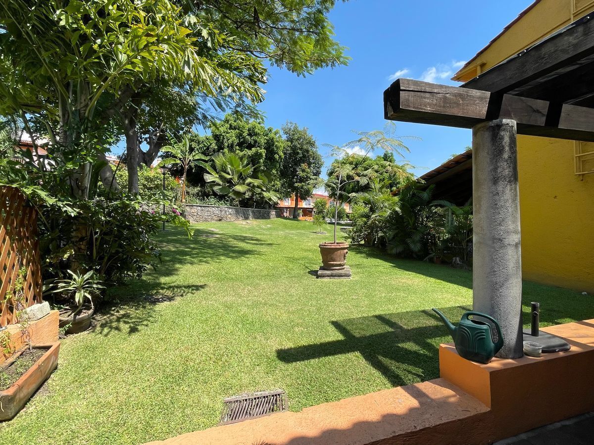 5 de 31