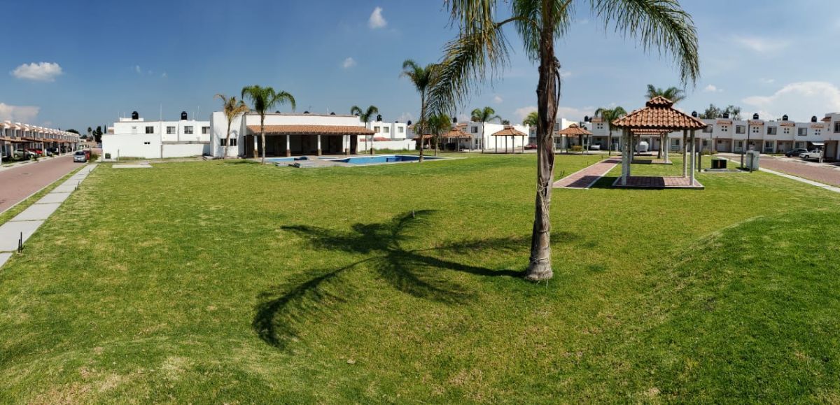 36 de 36