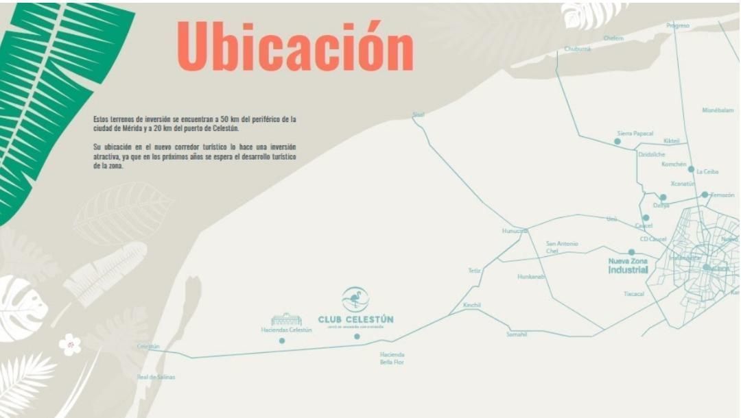2 de 6: ubicación lotes