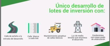 5 de 5: servicios