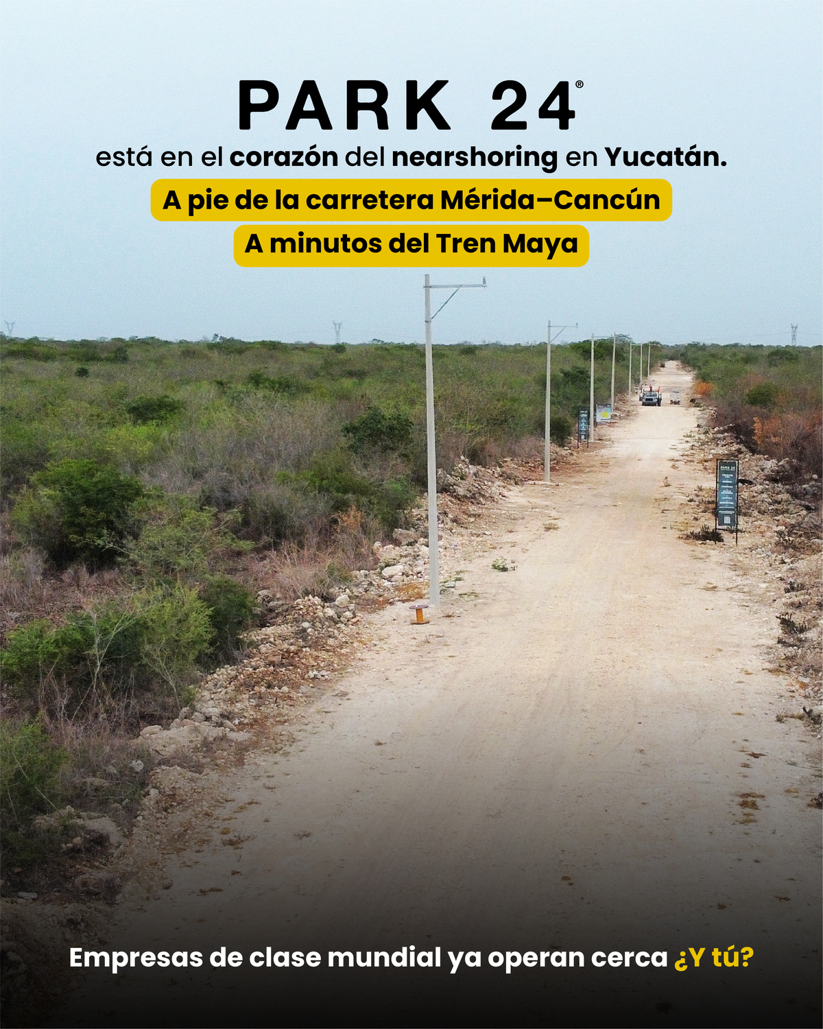 3 de 7