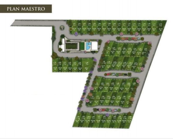 4 de 7: master plan