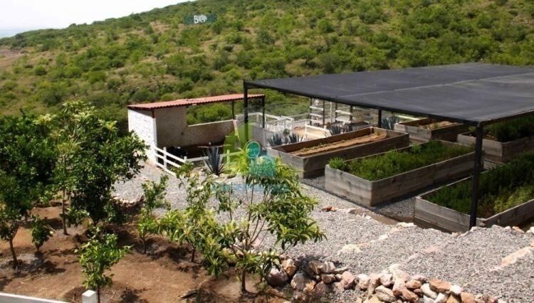 Casa en Grand Juriquilla, Querétaro, foto 22 de 29
