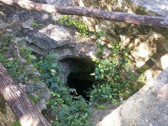 3 de 9: La entrada del cenote es estrecha, abajo es muy amplio