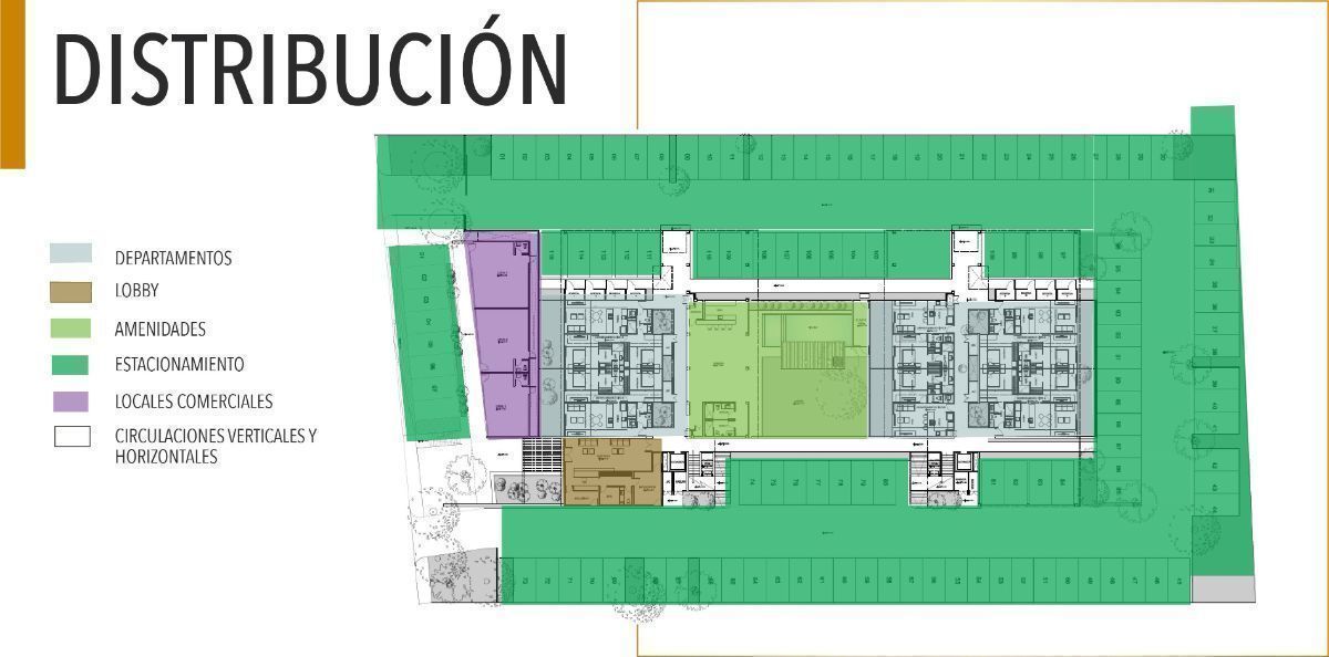 11 de 11: Distribución
